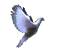 bird2.gif (38556 bytes)